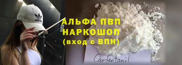 прущие грибы Инта